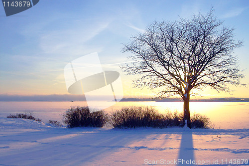 Image of Winter sunset in Finland