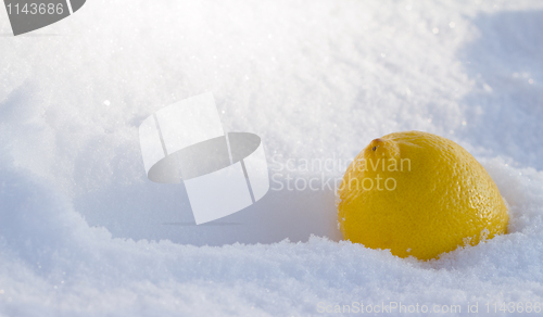 Image of Lemon In snow