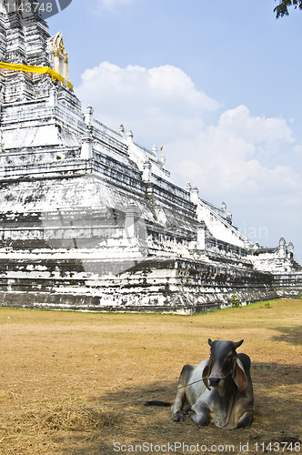 Image of Wat Phu Khao Thong