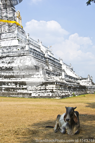 Image of Wat Phu Khao Thong