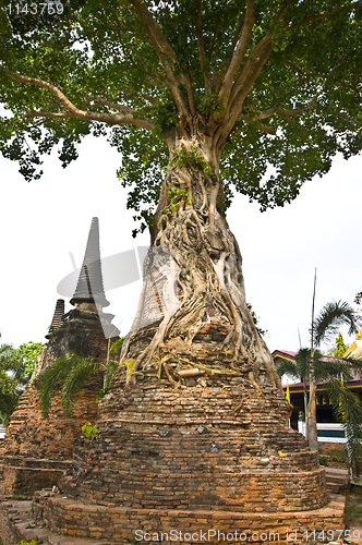 Image of Wat Mae Nang Pleum