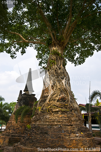 Image of Wat Mae Nang Pleum