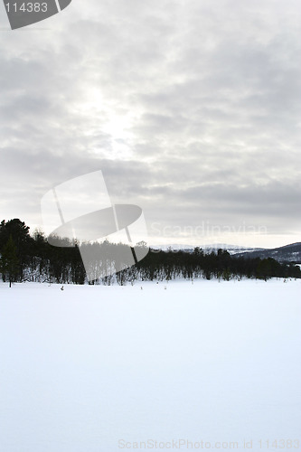 Image of Winter Landscape