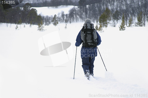 Image of Skiiing