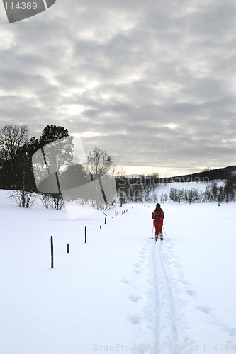 Image of Cross Country Skiing
