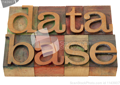 Image of database word in letterpress type
