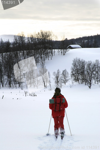 Image of Cross Country Skier