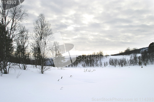 Image of Winter Mountain Scene