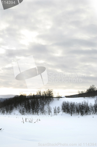 Image of Winter