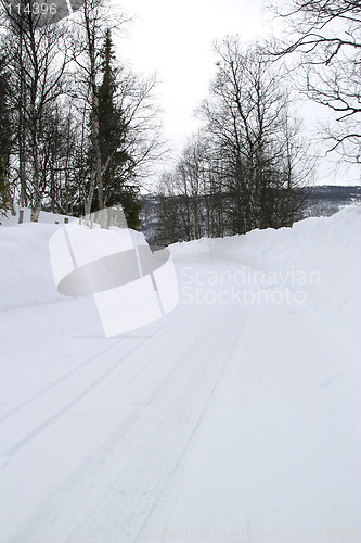 Image of Winter Road