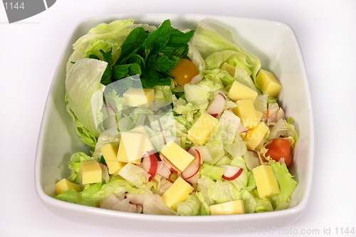 Image of Cheese, lettuce and radish salad