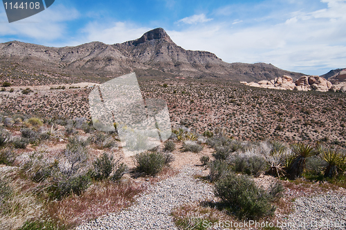 Image of Red Rock Canyon