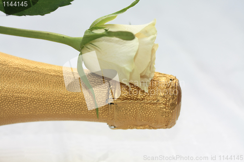 Image of White rose on a champagne bottle