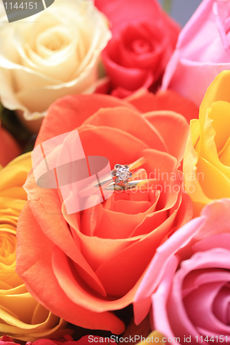 Image of wedding set in a rose