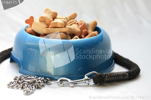 Image of Dog bowl with dog leash