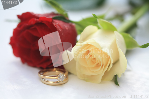 Image of red rose, white rose and a wedding set