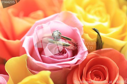 Image of Bridal set on a pink rose