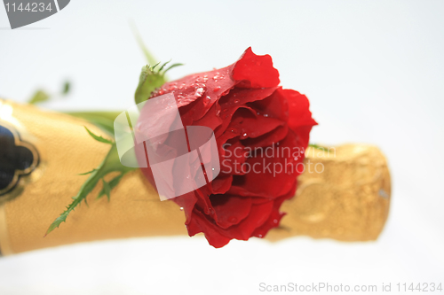 Image of rose and champagne