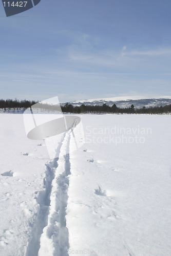 Image of Ski Trail