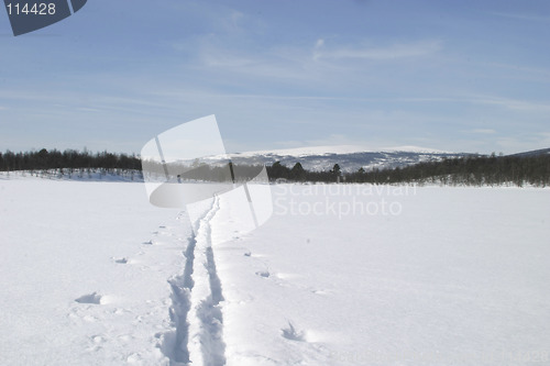 Image of Ski Trail