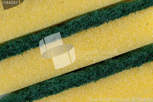 Image of Sponge detail