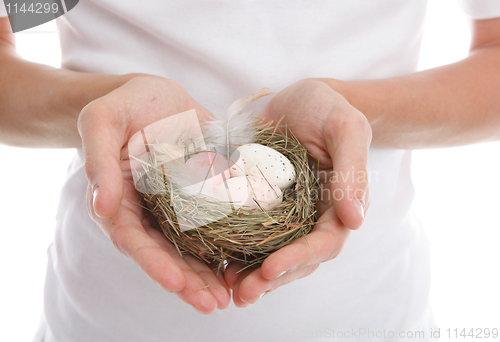 Image of Eggs in heart cupped hands