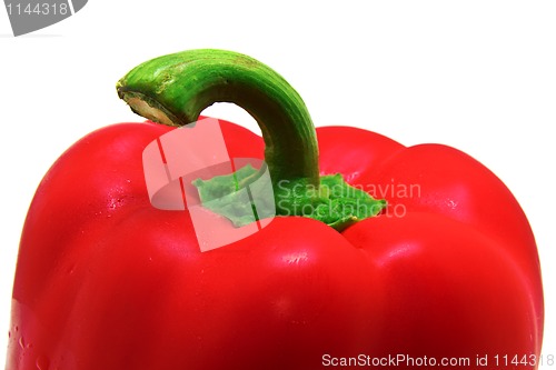 Image of Red Bell Pepper