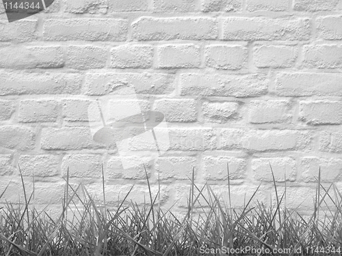 Image of Grass and wall