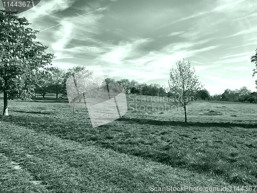 Image of Primrose Hill, London