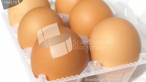 Image of Eggs