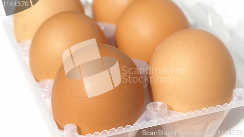 Image of Eggs