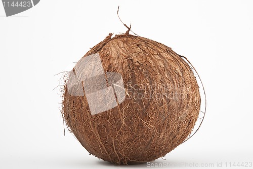 Image of coconut