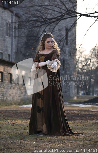Image of Beauty in medieval dress