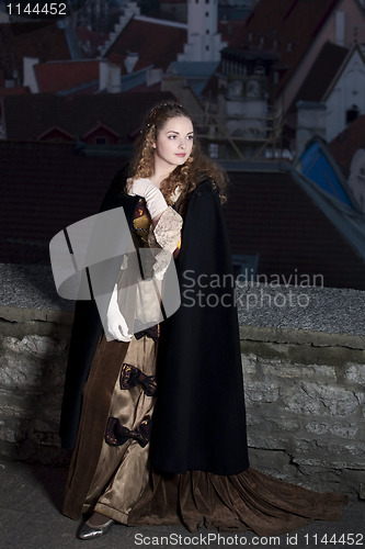 Image of Beauty in medieval dress