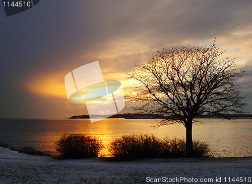 Image of Gold Winter Sunset in Finland