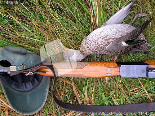 Image of Hunting a duck