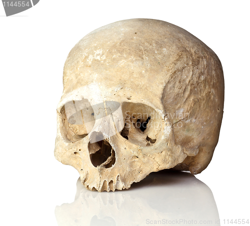 Image of skull on white
