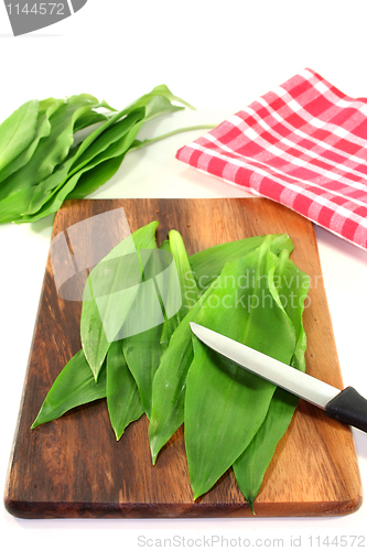 Image of Wild garlic