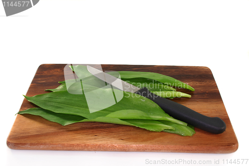 Image of Wild garlic