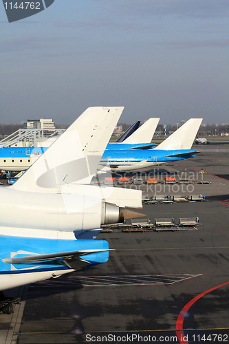 Image of Aircraft tails on the gate