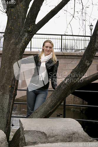 Image of Woman in Tree
