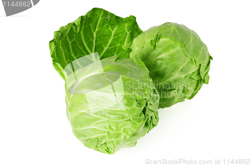 Image of  young cabbage, it is isolated on white 