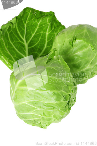 Image of  young cabbage, it is isolated on white 