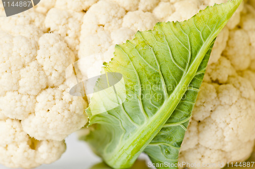 Image of Cauliflower