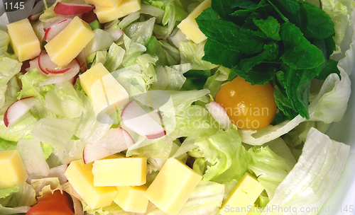 Image of Cheese, lettuce and radish salad