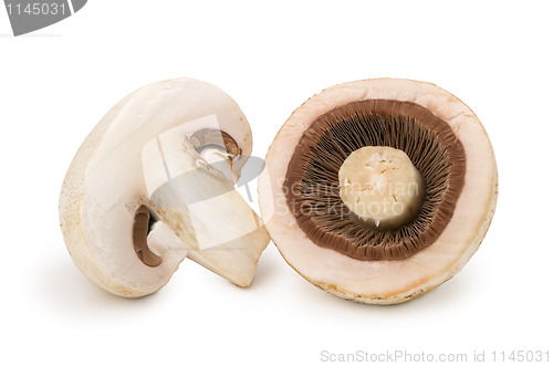 Image of  two halves of the mushroom champignon