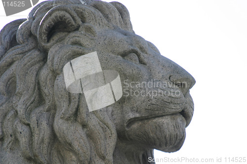 Image of Lion Statue Detail