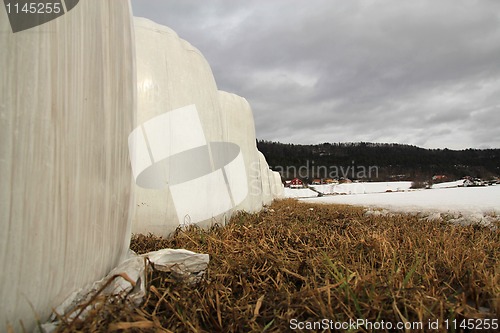 Image of Hay balls.
