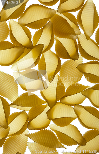 Image of Conchiglie