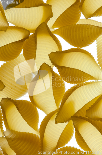 Image of Conchiglie